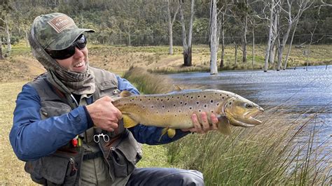 Tasmanian trout video. Things To Know About Tasmanian trout video. 
